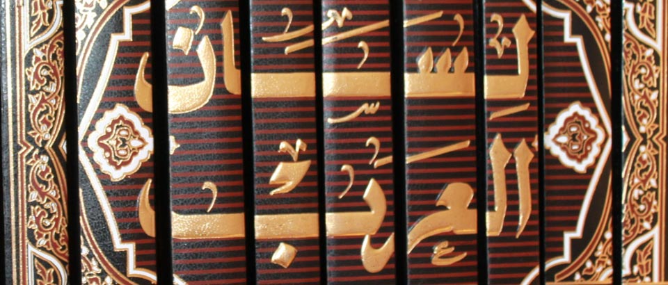 في الخامس من شهر مايو (أيار) 2014، مُنح سيادة المطران مايكل فيتزجيرلد درجة أعلى تكريم أكاديمي من الجامعة الكاثوليكية الأسترالية، شهادة دكتوراه شرفية.